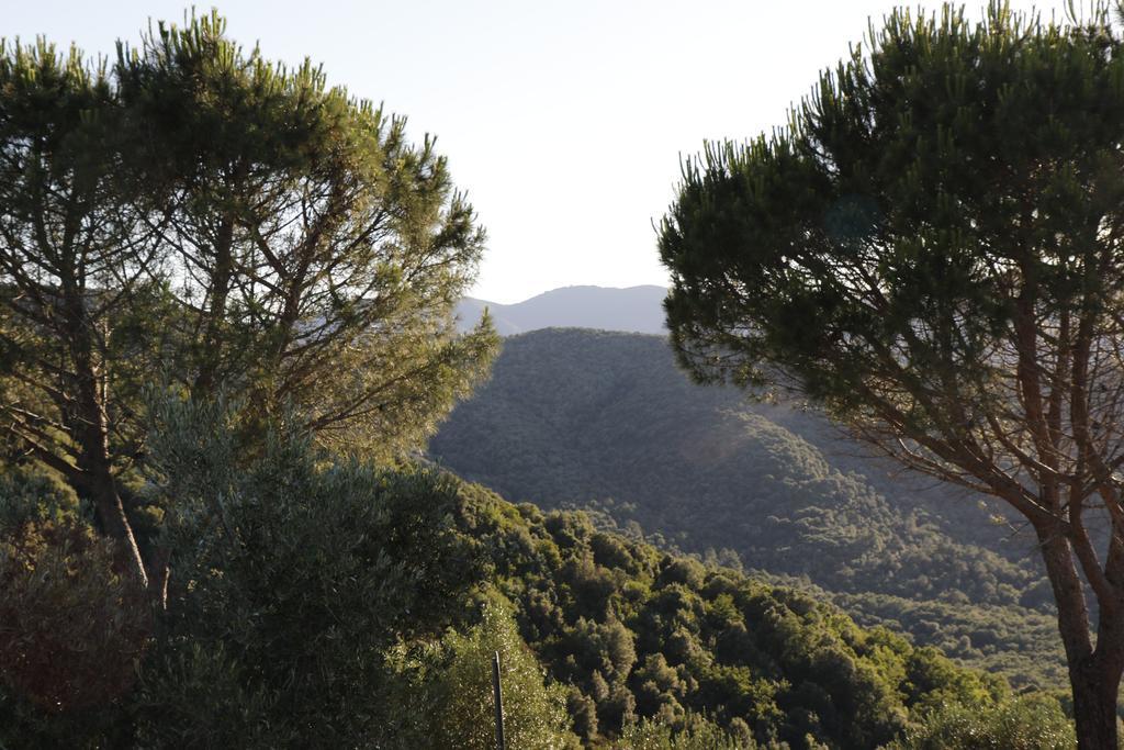 Locanda Mossa Dei Barbari Buriano  Buitenkant foto