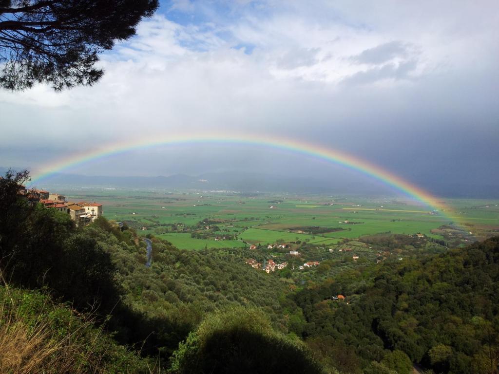 Locanda Mossa Dei Barbari Buriano  Buitenkant foto